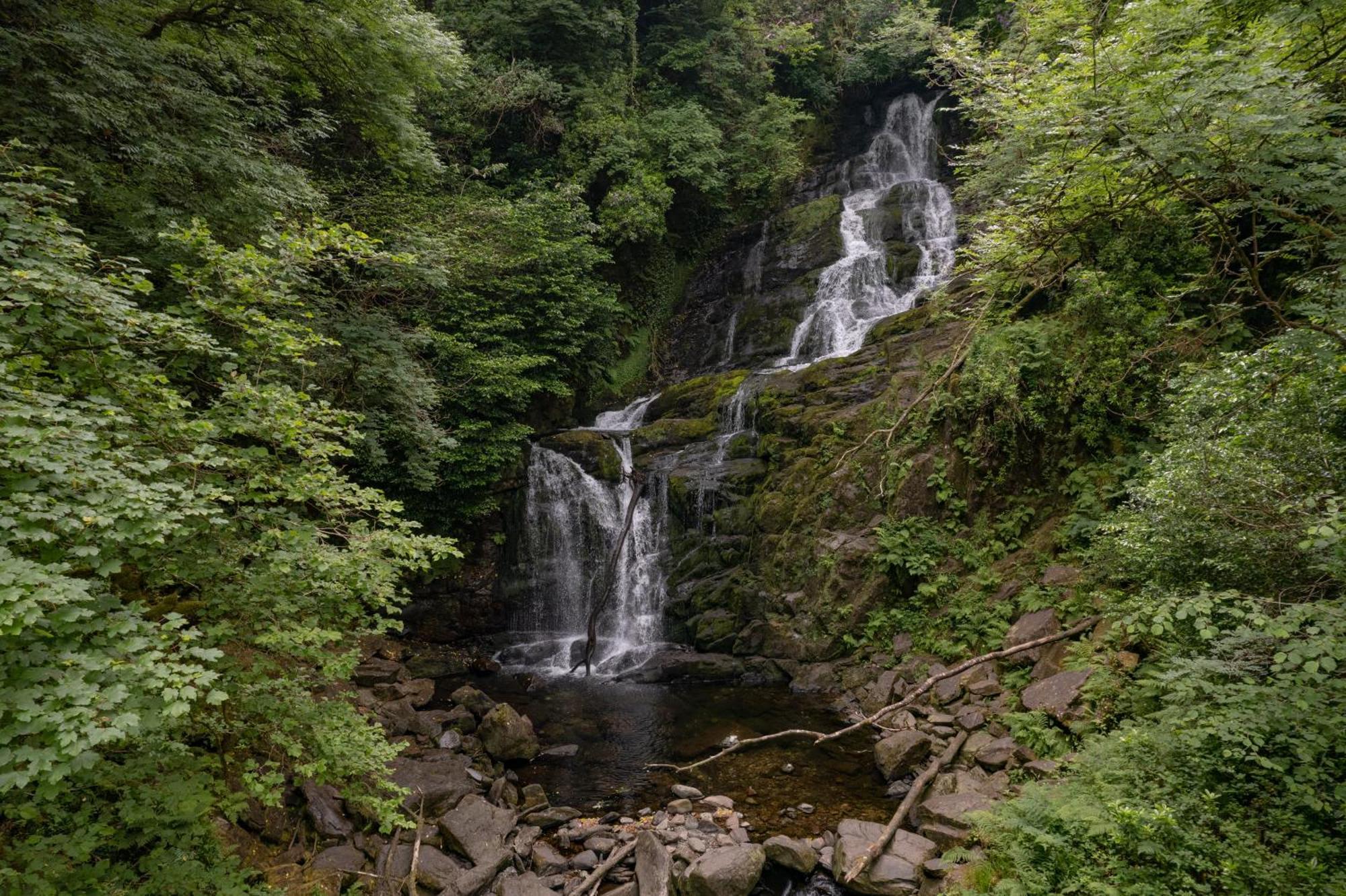 Killarney Heights Hotel Dış mekan fotoğraf