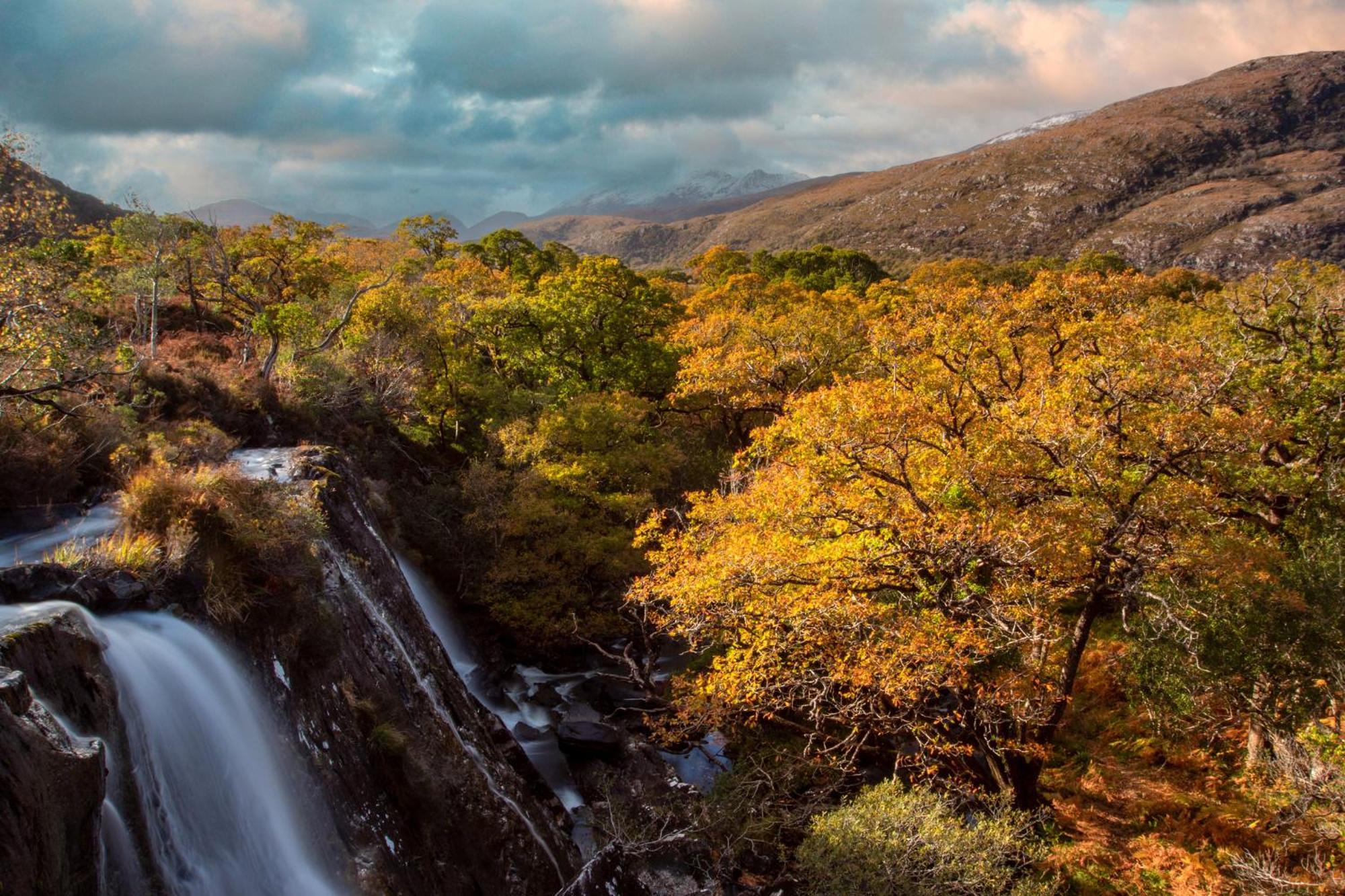 Killarney Heights Hotel Dış mekan fotoğraf